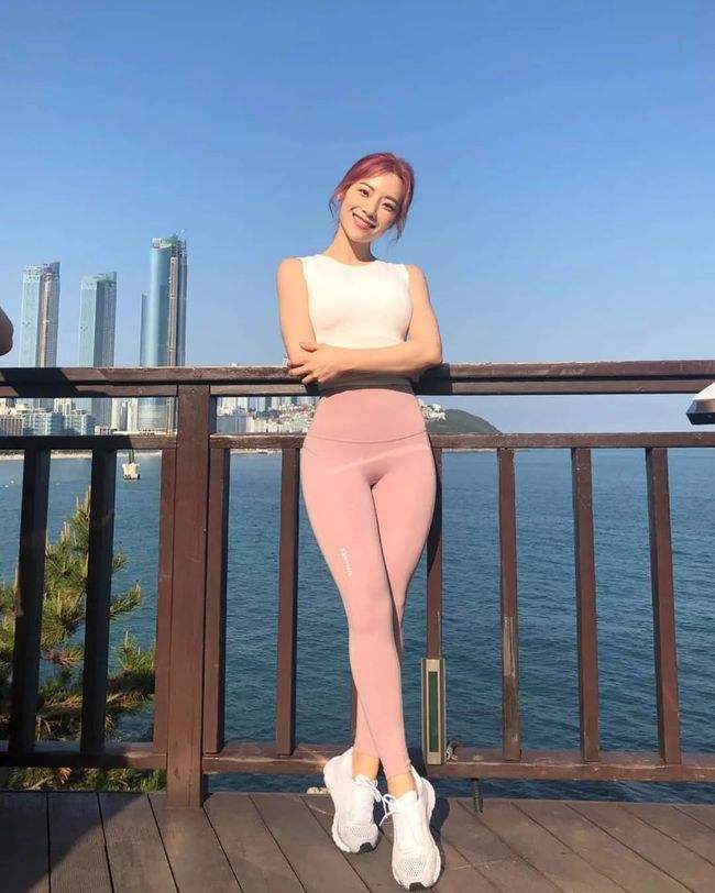 管家婆一码一肖资料大全手机app下载