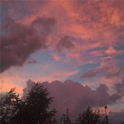 星空官方网站下载app